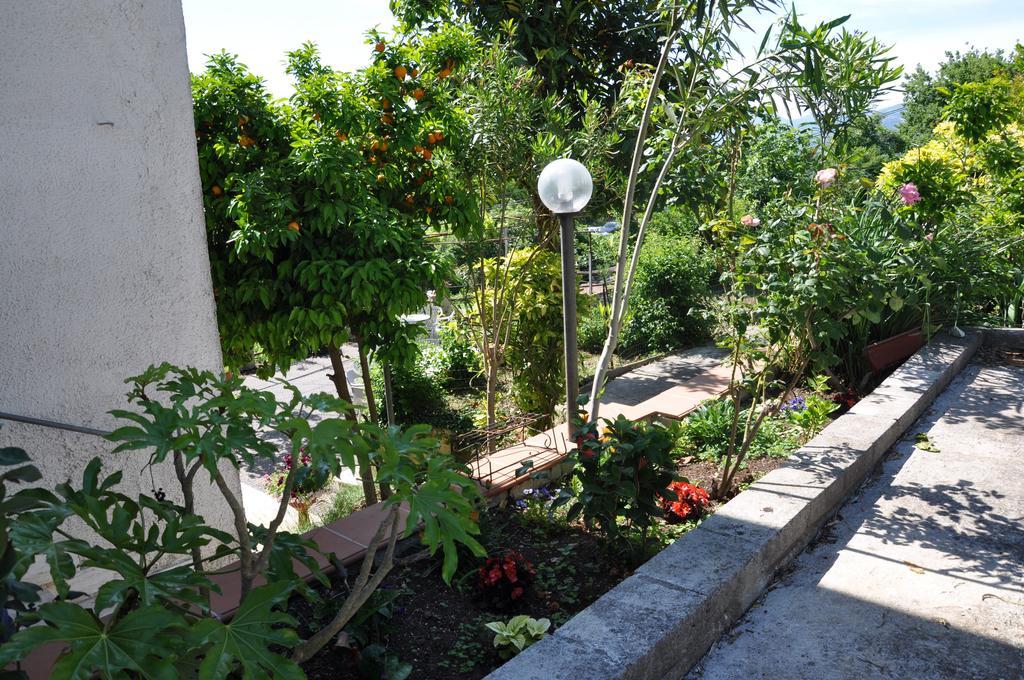 B&B La Palombara Giuliano di Roma ภายนอก รูปภาพ