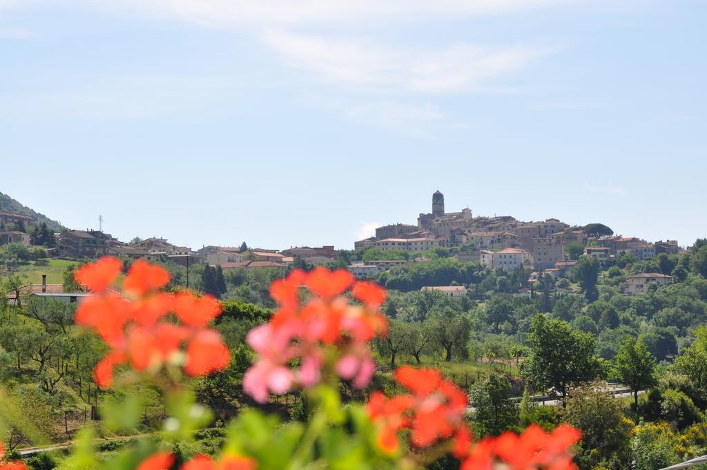 B&B La Palombara Giuliano di Roma ภายนอก รูปภาพ